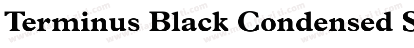 Terminus Black Condensed SSi Black字体转换